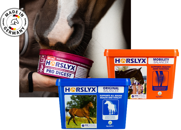 Horslyx Produkte